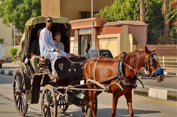Aswan City Tour on Horse Carriage